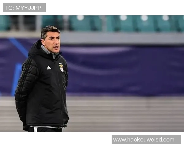 多特蒙德对阵本菲卡精彩直播全程回顾与赛况分析